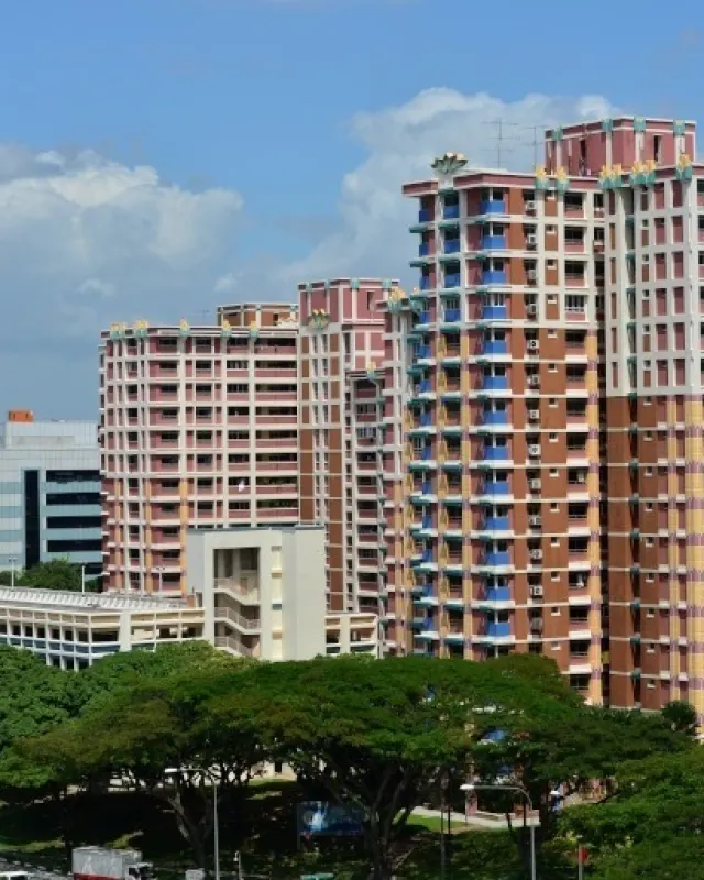 Bedok